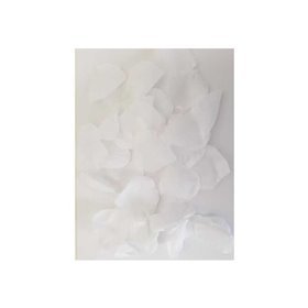 100 pétalas brancas