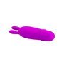 Boyce Mini Vibrador Roxo