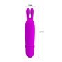 Boyce Mini Vibrador Roxo