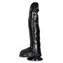 Felipe vibrador 25 cm