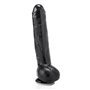 Vibrador quebrou 26 cm