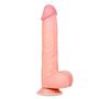 Slidy Dildo Realista Camada Dupla Retrátil e Ajustável 9