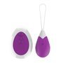 Ovo vibratório com controle remoto USB roxo