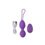 Ovo Vibratório Controle Remoto Ridged USB Silicone 7.4