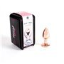 Plugue anal de metal ouro rosa tamanho S