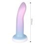 Vibrador com Ventosa Cor Gradiente 13,6 cm