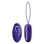 Ovo vibratório Selkie Youth com controle remoto