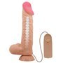 Controle remoto vibrador realista, dupla densidade e pele deslizante 24 cm